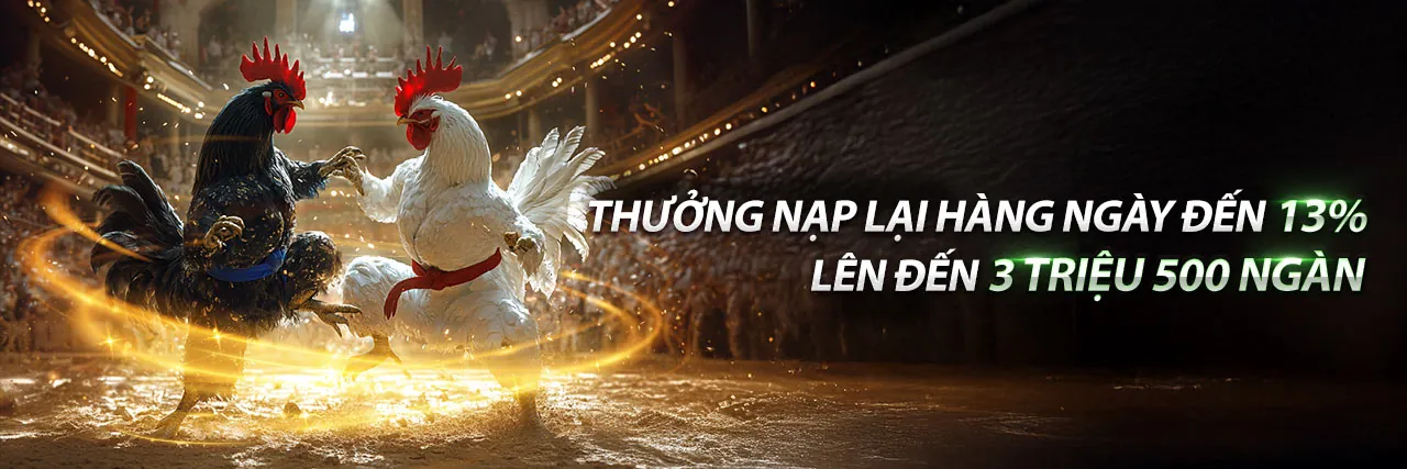 Đấu trường đá gà trực tuyến Bet20 kịch tính